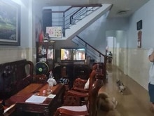 Hình ảnh hẻm ô tô ngang 4.5m nhà cấp 4 đẹp nhất phương 15