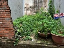 Hình ảnh BánĐất Tìm Mỏi MắtMới ThấyĐượcMảnh Đất Còn Sót Tại Đường Nguyễn Văn cừ