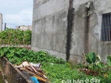 Hình ảnh Dương Quang-Gia Lâm-Vuông đẹp-Vài bước ra ô tô tránh-nhỏ tiền-baynhanh