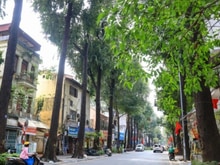 Hình ảnh Bán nhà mặt phố cổ Lò Đúc, trung tâm quận Hai Bà Trưng, 40/68m,24 tỷ
