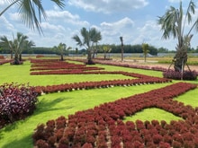 Hình ảnh Những lô đất đất nền còn lại cuối cùng giai đoạn 1 của KĐT ALANA CITY