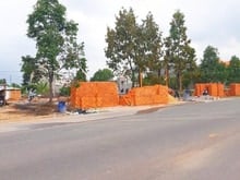 Hình ảnh Sang Gấp Trong Tuần 250m2 Đất Đường Nhựa-Đối Diện Trường ĐạiHọc.1ty250