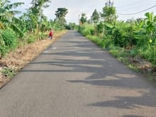 Hình ảnh Bán vườn Chuối 3000m, Mặt Tiền đường nhựa,xã Sông Thao,huyện Trảng Bom