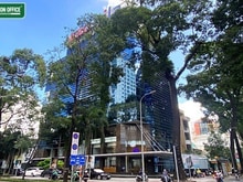 Hình ảnh Bán toà nhà văn phòng Level A - 2MT 146 Nguyễn Đình Chiểu - Pasteur, 2