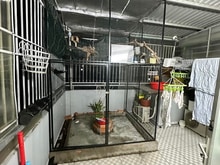 Hình ảnh Chú 6 Bán Nhà Gấp Trả Nợ Cao Lỗ quận 8 63m2 giá 950tr Gần Chợ