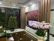 Hình ảnh Phải nhanh! Tòa văn phòng phố Liễu Giai, lô góc, ô tô vào nhà, 53m2*7T