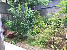 Hình ảnh HÀNG NÓNG 🔥 khu biệt thự bên sông, - HIỆP BÌNH CHÁNH-Thủ Đức, 182m2