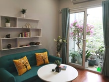 Hình ảnh Toà CHDV 8 Tầng–Thang máy–Ô TÔ đỗ cổng– Hoàng Hoa Thám - 92M2-19,9 TỶ