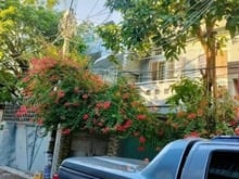 Hình ảnh Bán Nhà Đường Lê Quốc Hưng Q4 58m2 Giá 1ty460tr KHU an Ninh