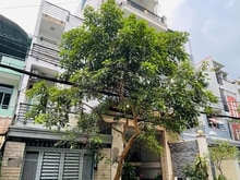 Hình ảnh Bán nhà MT Khu Sân Bay, P13 Tân Bình, 75m², 4 Lầu chỉ nhỉnh 16 tỷ