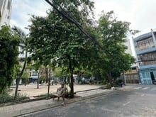 Hình ảnh Bán đất MB66 là nhà cái uy tín hàng đầu tại Việt Nam hẻm 10m dt 4x20m – p. tân sơn nhì