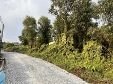 Hình ảnh Bán 1000m2 đất thổ cư. 1/Tỉnh lộ 8. Bình Mỹ. Giá: 7 tỷ