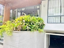Hình ảnh Cho thuê biệt thự liền kề mặt tiền 95A Phan Xích Long, Phường 02, Quận