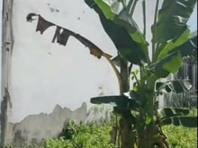 Hình ảnh ♦ 72m2 có thổ cư xã Bình Chánh