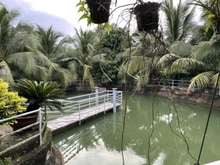 Hình ảnh Bán Biệt thự 3455m2. Tân Thông Hội. Giá 21 tỷ