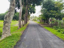 Hình ảnh Bán 500m2 đất thổ cư. MT Nguyễn Viết Xuân. TT CỦ CHI. GIÁ 7 TỶ
