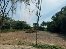 Hình ảnh Bán 1500m2 đất MT nhựa. Hòa Phú. Giá 10,5 tỷ