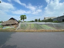 Hình ảnh Bán 540m2 (10x54) đất MT Tân Thông Hội. Giá 5 tỷ