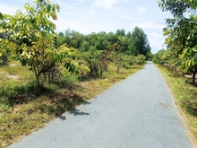 Hình ảnh Bán 4000m2 có 3425m2 đất đường Nhựa. An nhơn tây. Giá 26 tỷ