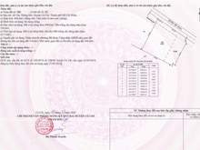 Hình ảnh Bán 808m2 đất thổ cư. Tân Thông Hội. Giá 10 tỷ