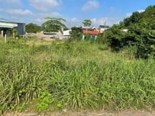 Hình ảnh Bán đất (9x22). Tân Thạnh Tây. Giá 2,3 tỷ