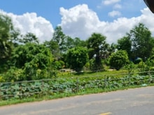 Hình ảnh Bán 20,360m2 đất MT Võ Văn Bích. Tân Thạnh Đông. Giá 120 tỷ