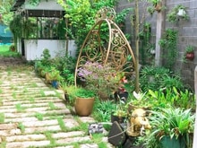 Hình ảnh Bán Nhà vườn 630m2. Xã Trung Lập Hạ. Giá 7 tỷ
