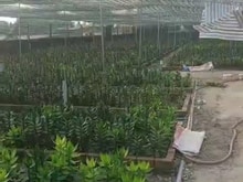 Hình ảnh Bán 1200m2 đất Xã Tân Phú Trung. Giá 10 tỷ