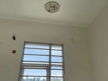 Hình ảnh cho thuê tầng 2 ưu tiên sinh viên nữ