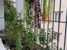 Hình ảnh Bán Nhà Ngõ Ô TÔ Quỳnh Mai, Hai Bà Trưng 120m giá 2,65 tỷ.
