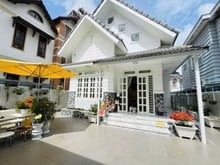 Hình ảnh Villa Sân Vườn Khu Sang trọng Đường Cô Giang Phường 9 Đà Lạt