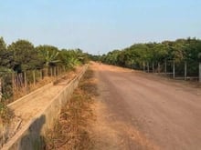 Hình ảnh Bán nhà vườn trái cây Trung An 3300m