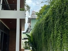 Hình ảnh Cho thuê biệt thự 12x20m 3 lầu Phường Bình Hưng Hoà B Q.Bình Tân