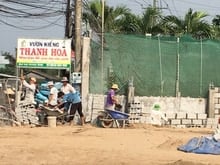 Hình ảnh đất trống cần cho thuê : chăn nuôi ... trồng cây ......