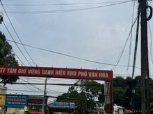 Hình ảnh HOT : 10x17,5 175m2 full thổ cư đường ô tô ngay PCCC
