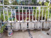 Hình ảnh Nhà bán chính chủ gần trường ĐH Nguyễn Tất Thành-An Phú Đông 10-Q.12