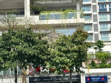 Hình ảnh Cho thuê toà nhà nguyên căn tại Nguyễn Cơ Thạch Q2 (khu Sala) giá 70tr