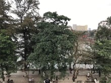 Hình ảnh Cho thuê CHCC chính chủ KTT Nam Đồng