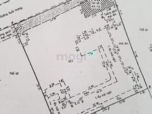 Hình ảnh 2000m2 FULL THỔ CƯ - Trung tâm Thảo Điền - đường Quốc Hương