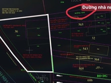Hình ảnh Đất thổ vườn mặt tiền Kênh N31A, cách chợ Xóm Mới Trung Lập Hạ 800m