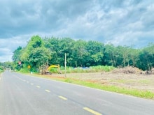 Hình ảnh Cần sang lại 3000m2 đất shr gần sát chợ, kcn dân cư đông giá 185 triệu