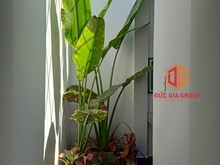Hình ảnh bán nhà đẹp mới tinh ngay gần trung tâm giới thiệu việc làm  Biên Hòa
