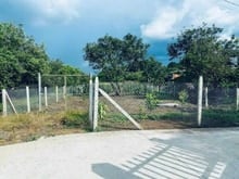 Hình ảnh Cần Bán Đất Sào Tân Phước Giá Tốt, 2 Mặt Tiền Suối, Gần KCN, Cơ Hội Đầ