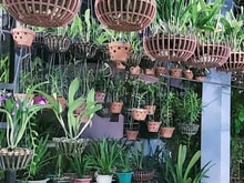 Hình ảnh Bán căn Lạc Long Quân  - p9 - Tân Bình - 50m2 - Hoàn côg đủ - Sổ vuông