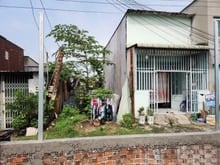 Hình ảnh Mình cần bán gấp đất bình chánh