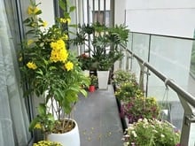 Hình ảnh Cho thuê green valley, PMH, Quận 7 dt 120m2