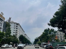Hình ảnh Cho thuê gấp nhà phố đường lớn CAO TRIỀU PHÁT. PHÚ MỸ HƯNG. QUẬN 7