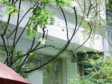 Hình ảnh 𝐊𝐡𝐮 𝐯ự𝐜 𝐁ế𝐧 𝐍𝐠𝐡é 🌿𝐍𝐠𝐚𝐧𝐠 𝟏𝟎𝐌 🌸