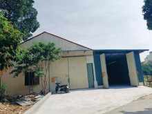 Hình ảnh CT kho xưởng đường 72, cổng làng La Phù, DT 650m2, 70k/m