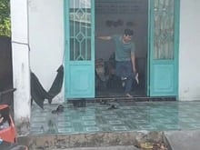 Hình ảnh Chủ cần bán căn nhà nằm an tịnh, trảng bàng, Tây Ninh